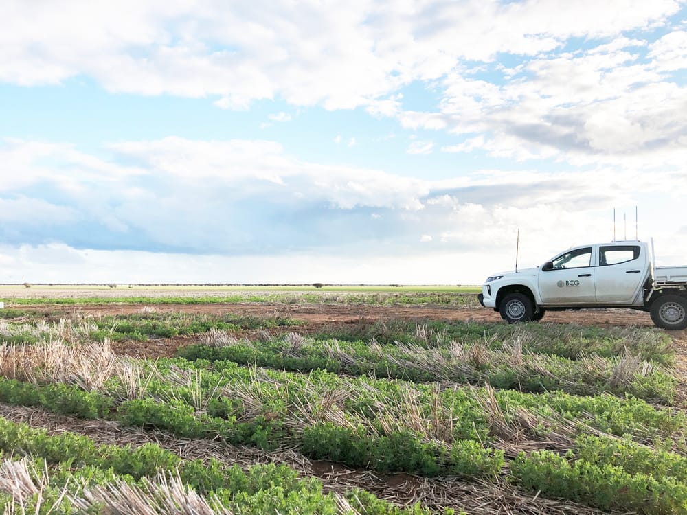 Latest Local Research at BCG Trials Review Day post image