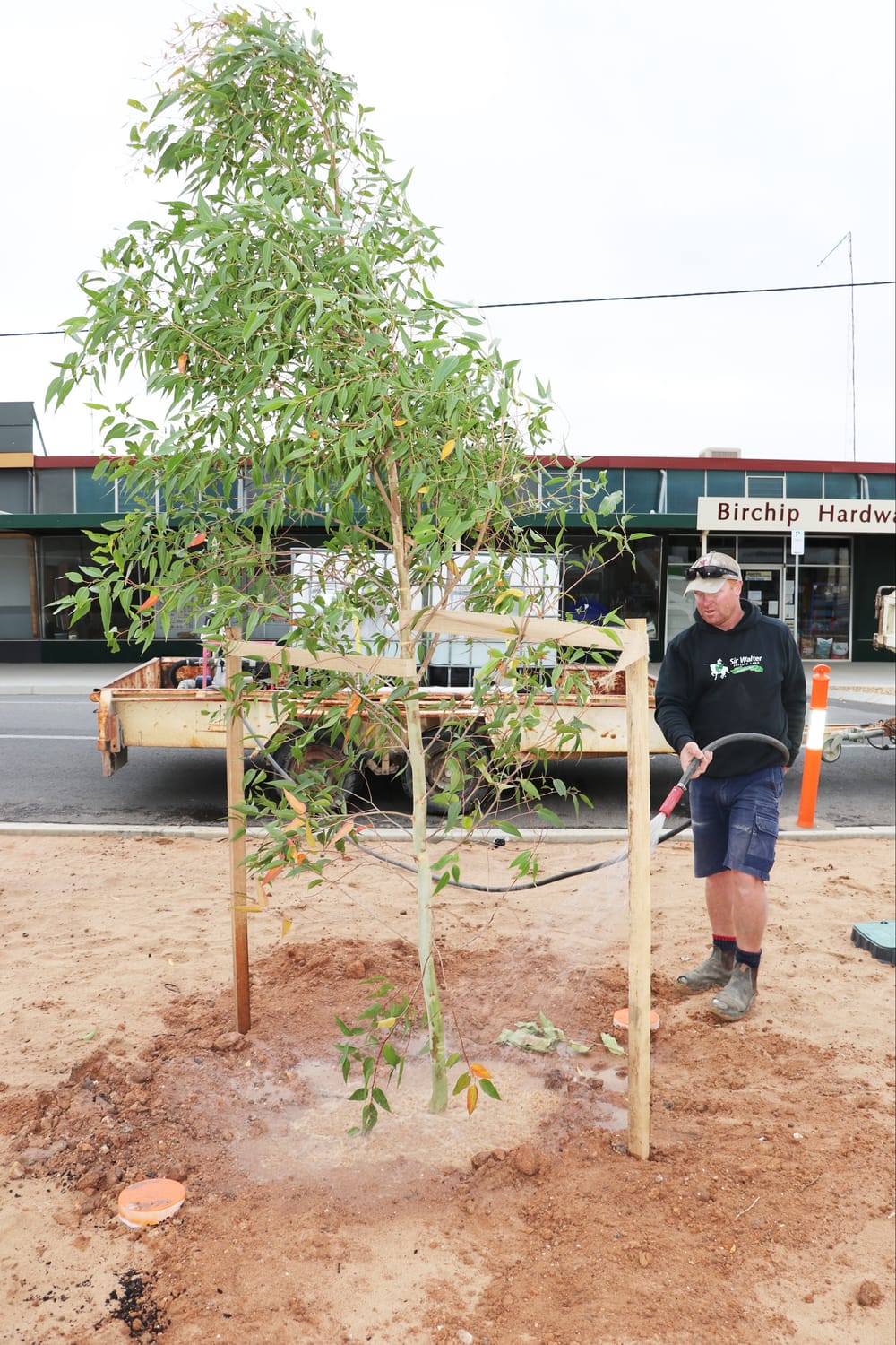 Transformation Taking Shape post image