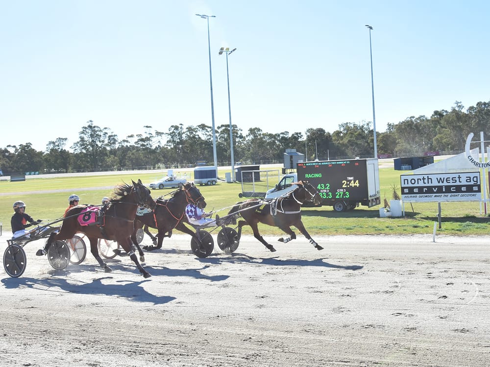 Track Record at Charlton Trots post image