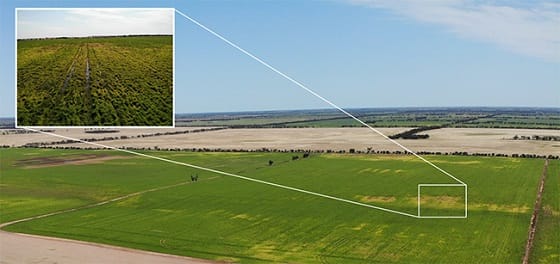 Tips to Recover Bogged Machinery Safely post image