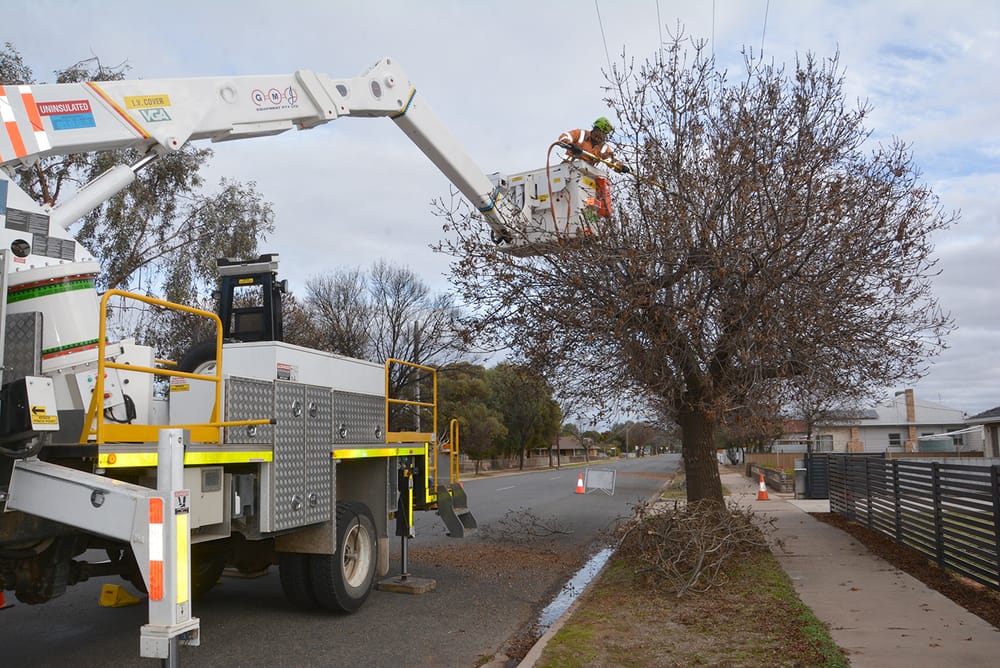 They’re Real Trimmers! post image