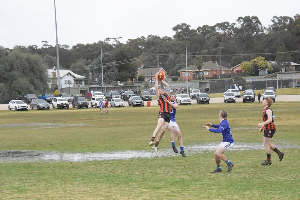 Sting in the Tail from Redbacks post image