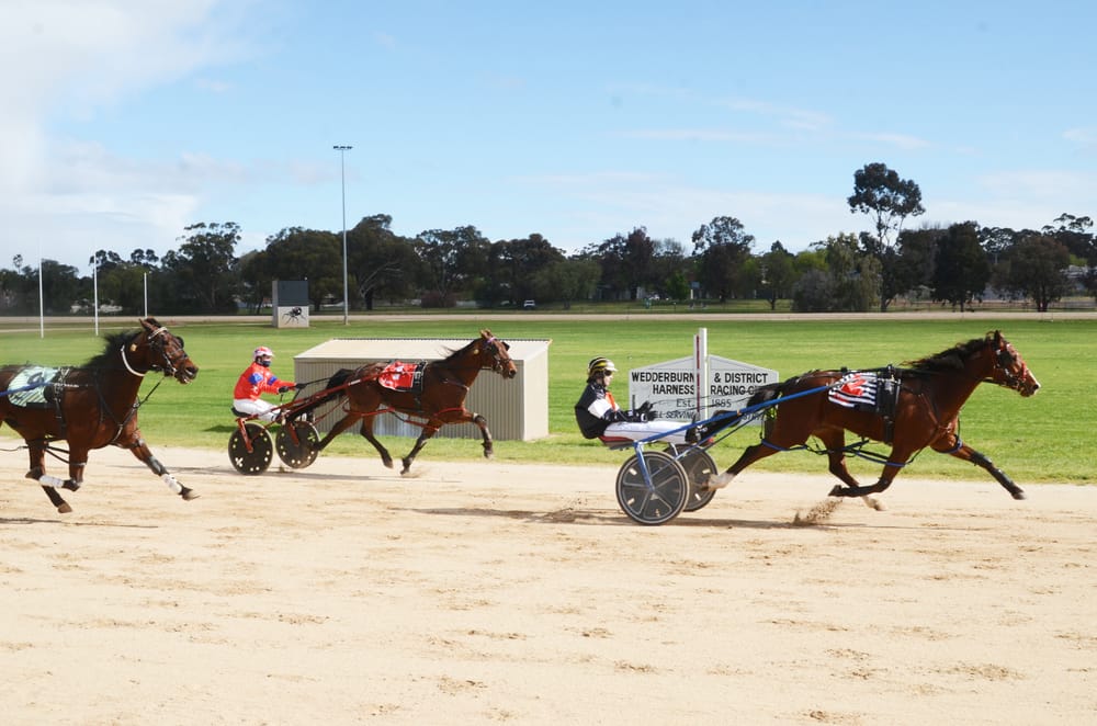 Fullofmischief Wins Calder Cup post image