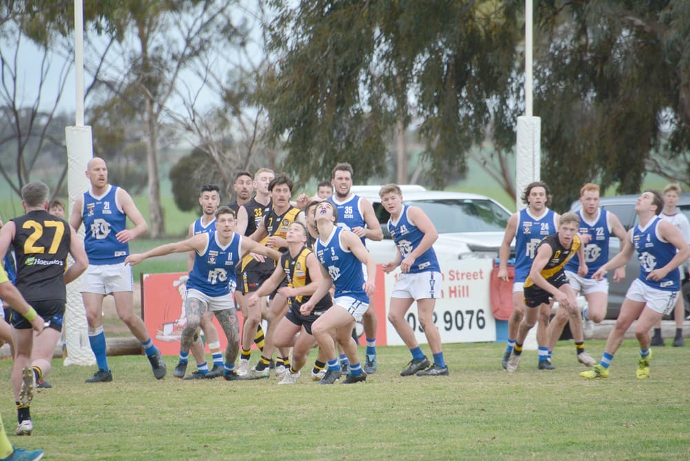 Donald by a Point! post image