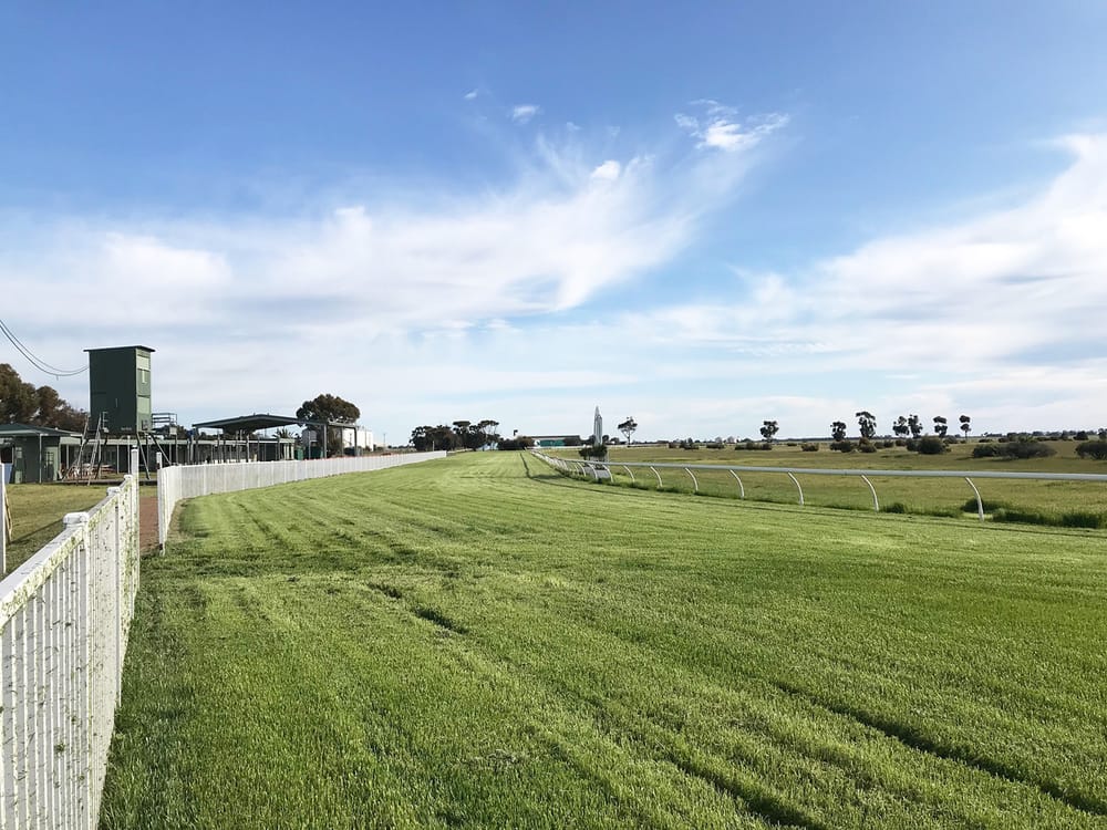 Track Rating Terrific at Mount Wycheproof post image