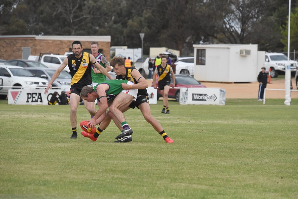 Brave Bulls Hold Out Surging Tigers post image