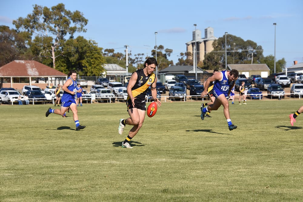 Tigers Top League Votes post image