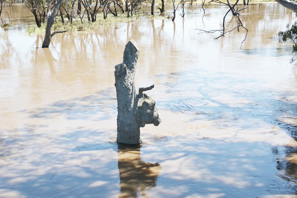 All Clear! post image