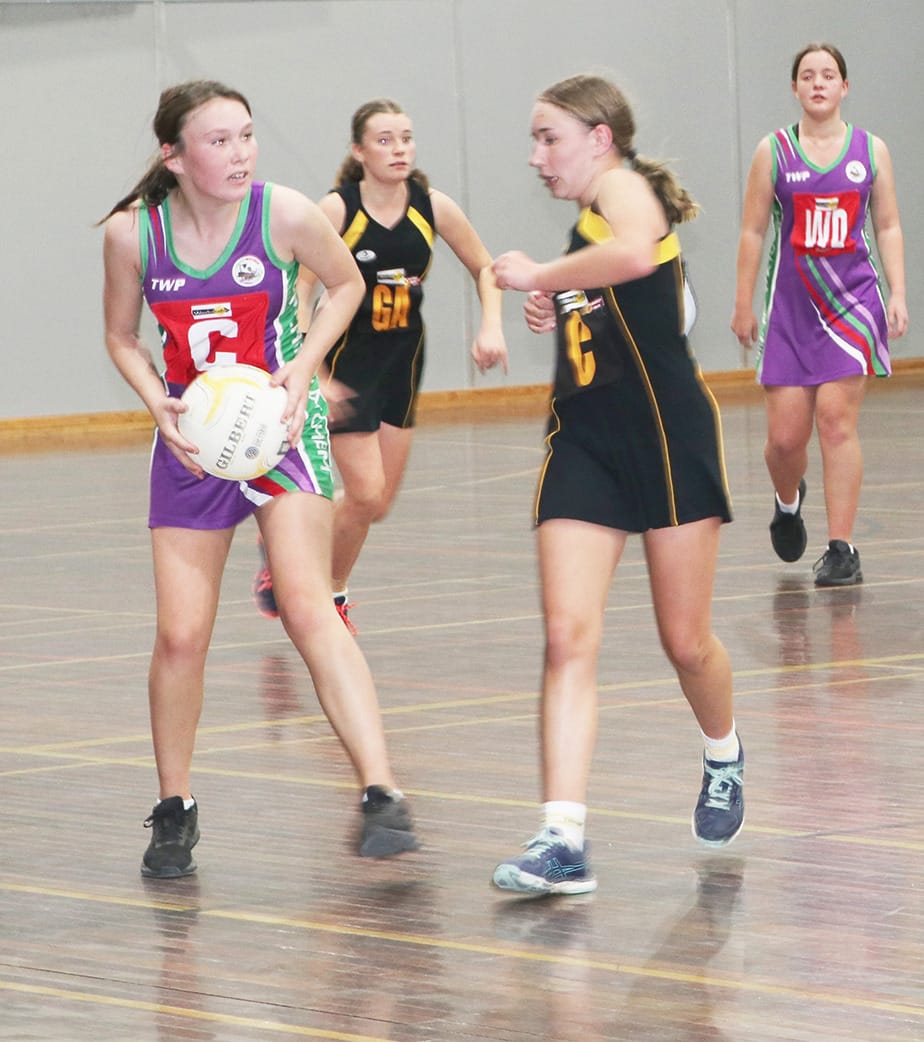 Netballers Utilise Birchip School Court post image