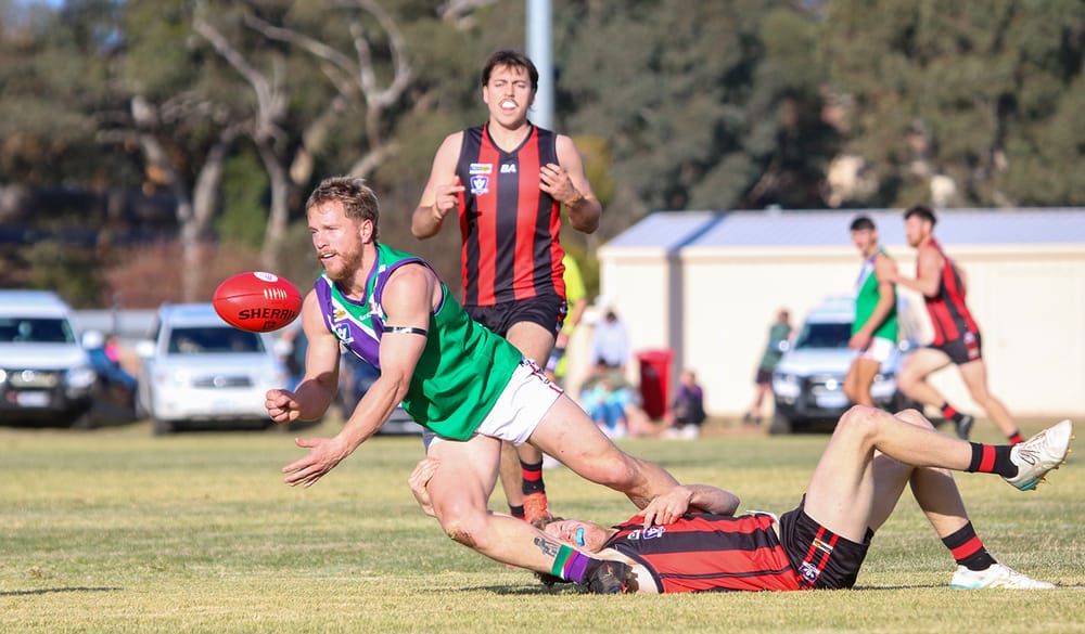 Bulls Reeled in by ’Burners Fightback post image