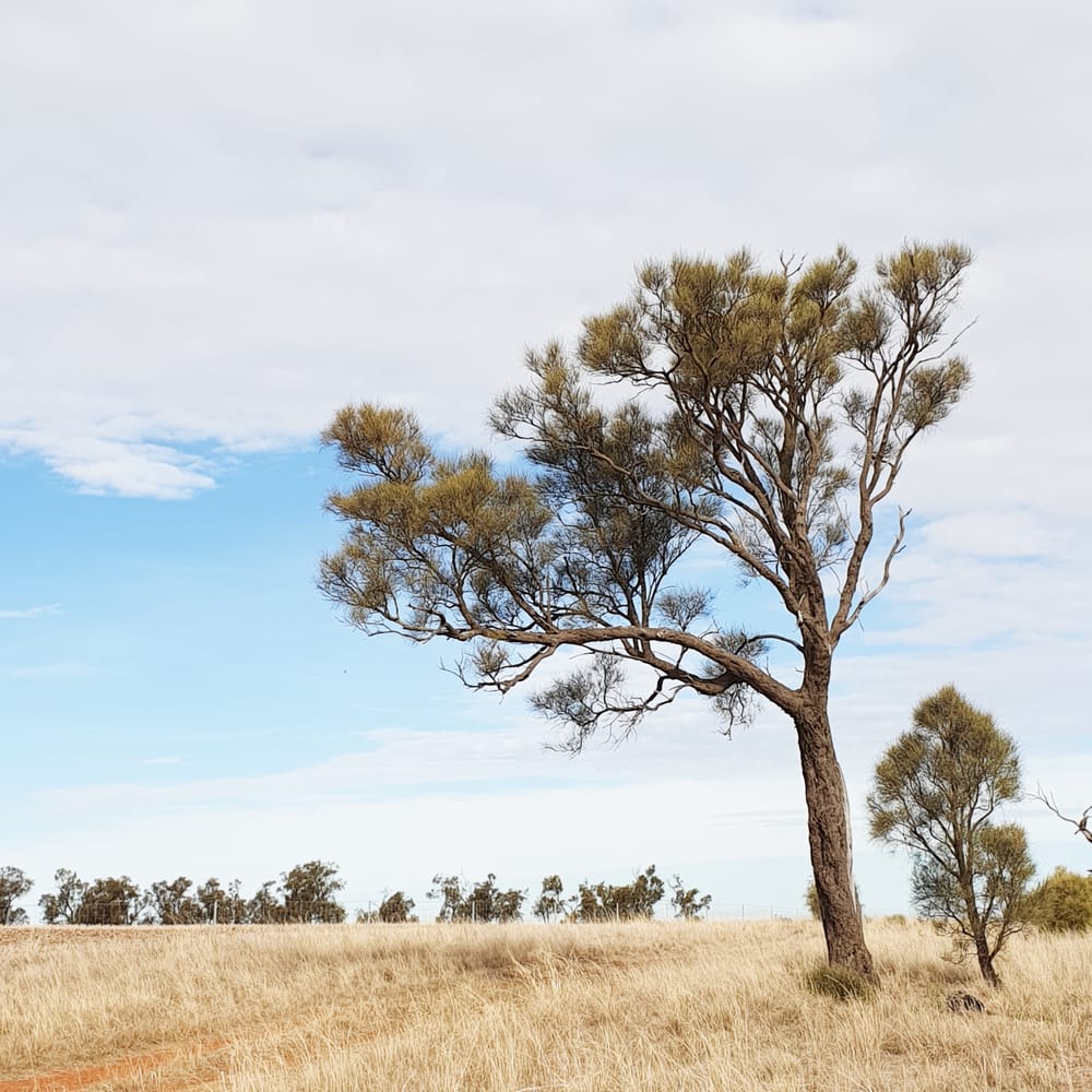 Implementing Project Windharp post image