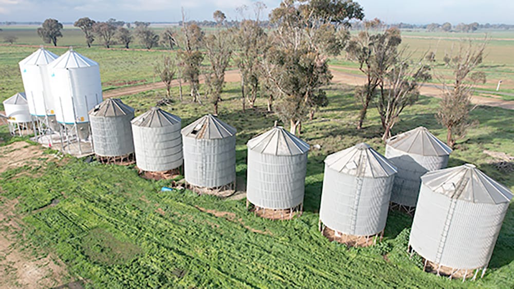 Safeguard Grain with Gas-tight Storage post image