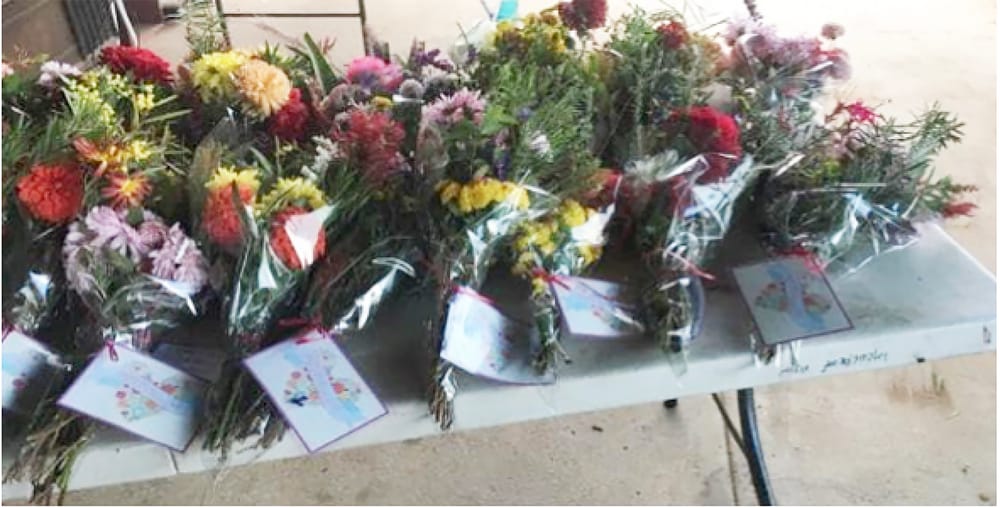 Surprise for Mums at Home Alone post image