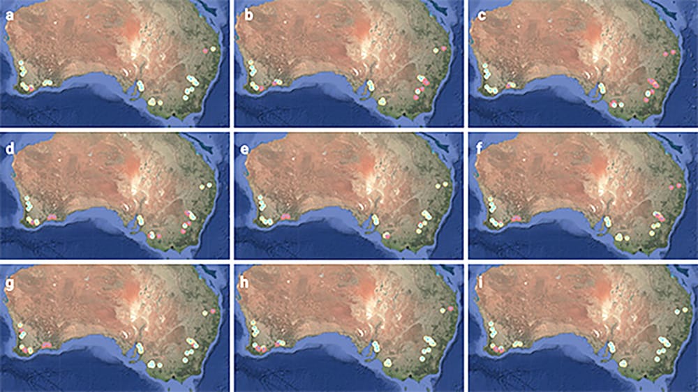 Early Alert System for Crop Disease Infection post image