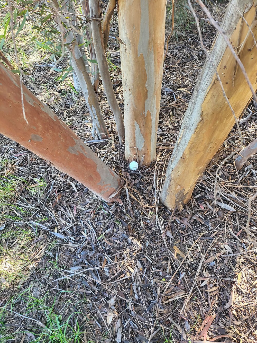 Down the Middle? post image