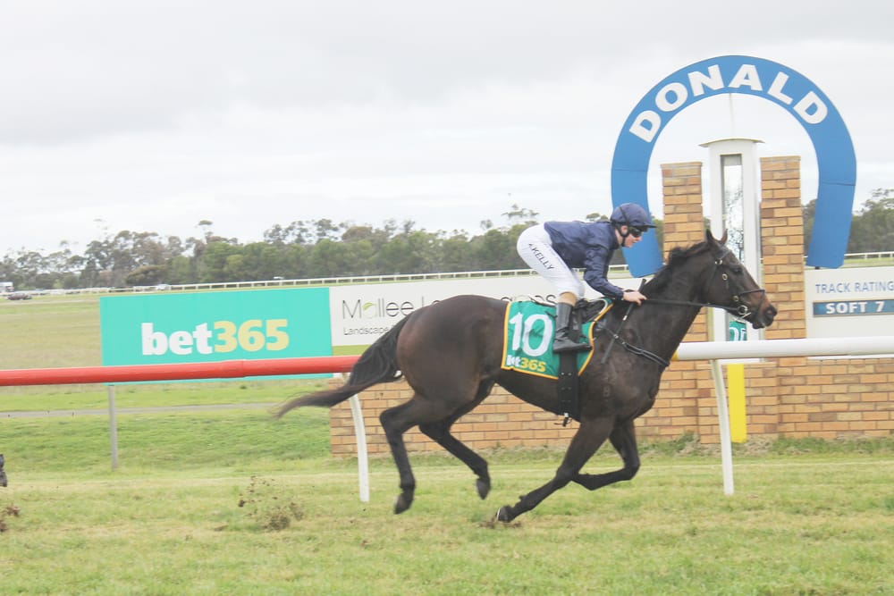 Donald Rises to Challenge post image