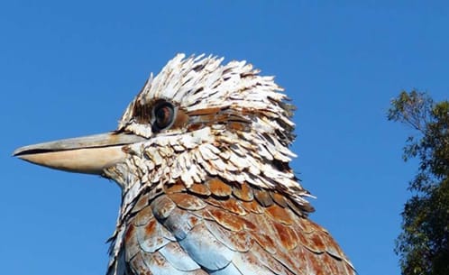 Time to Kick In for Kookaburra post image