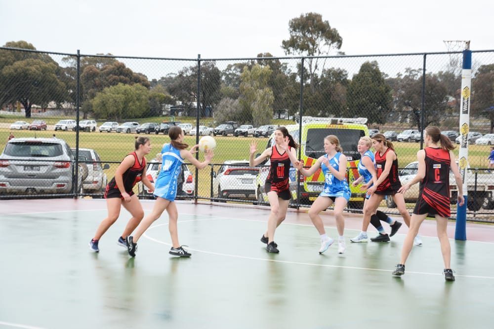 North-Central Netball post image
