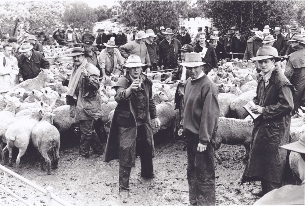 And It Wasn’t Even Winter! post image