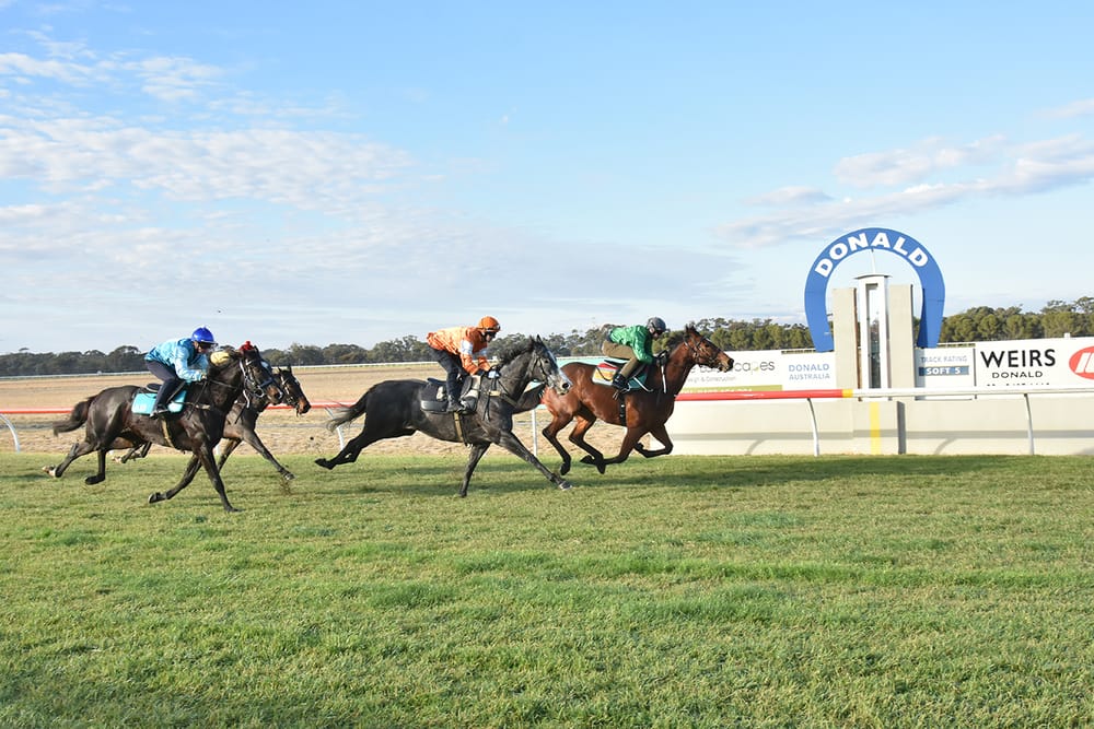 Impressive Jump Outs at Donald post image