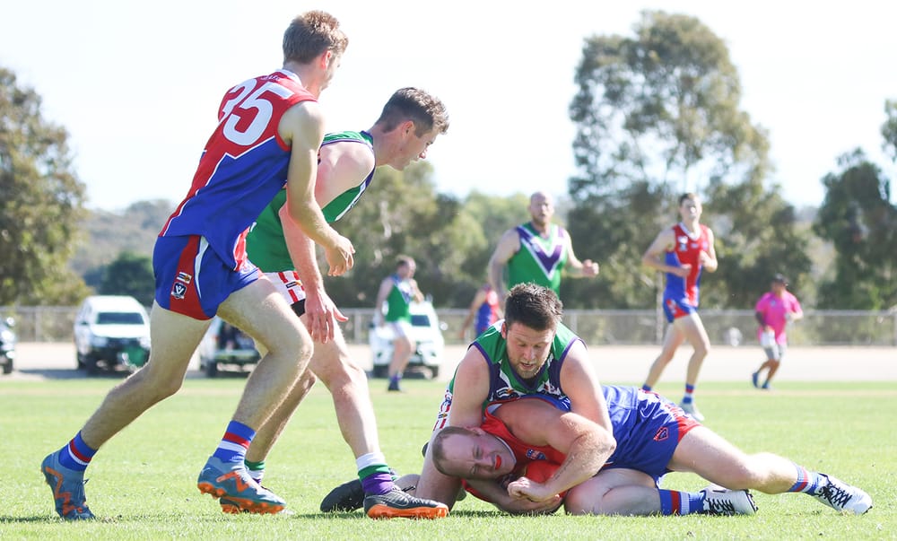 Bulls Reserves’ Convincing Win post image