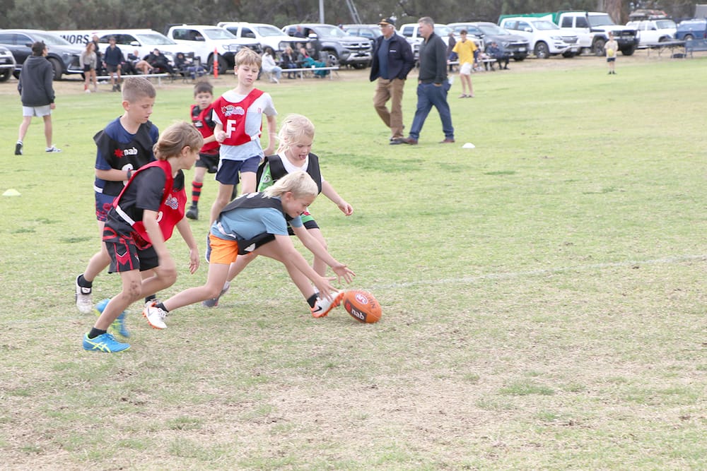 Juniors Share the Honours post image