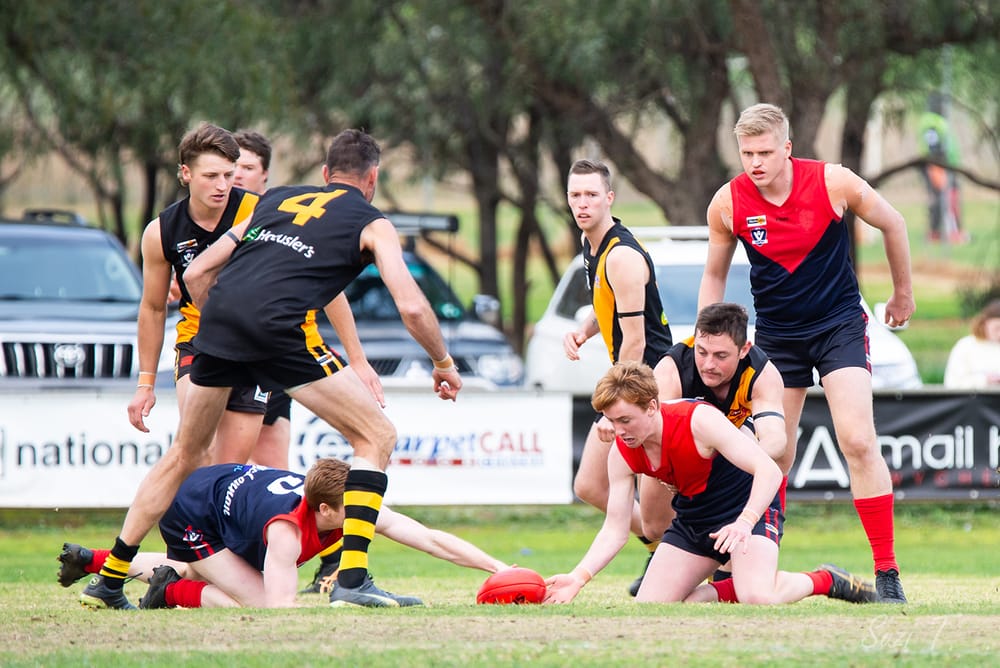 There’s No Taming the Tigers post image