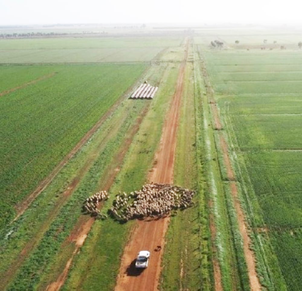 Information Day at Ballarat Tomorrow post image