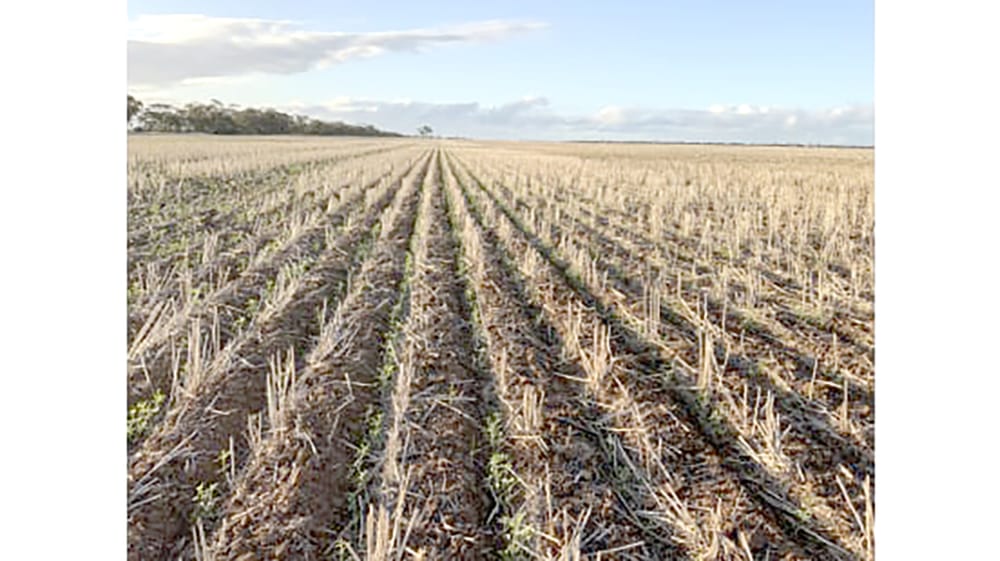 Aussie Farmers Astutely Managing Climate Change post image