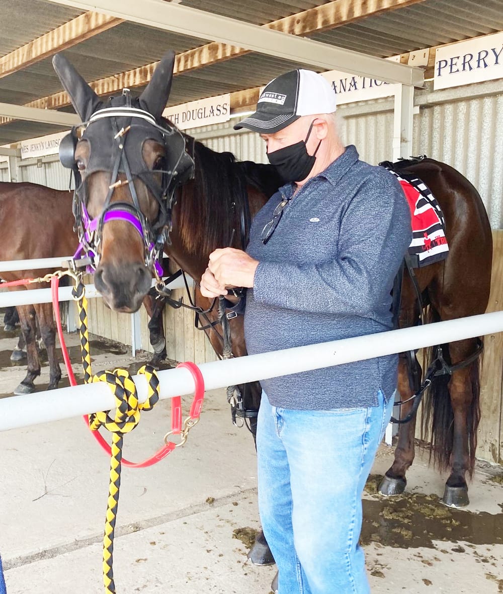 Charlton and The Meadowlands Amalgamation post image