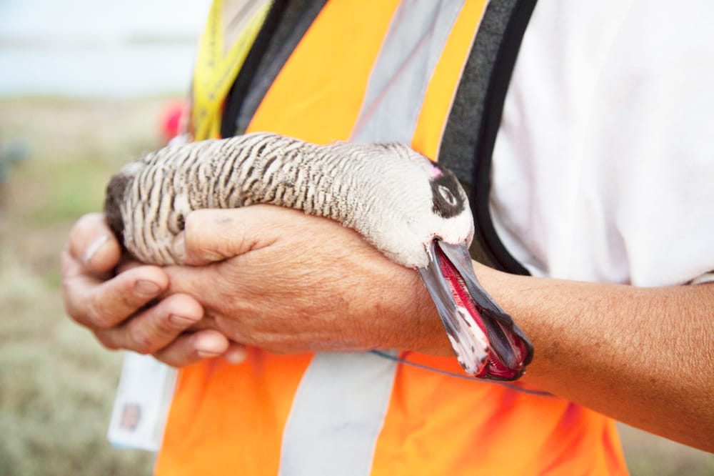 Silent Suffering post image