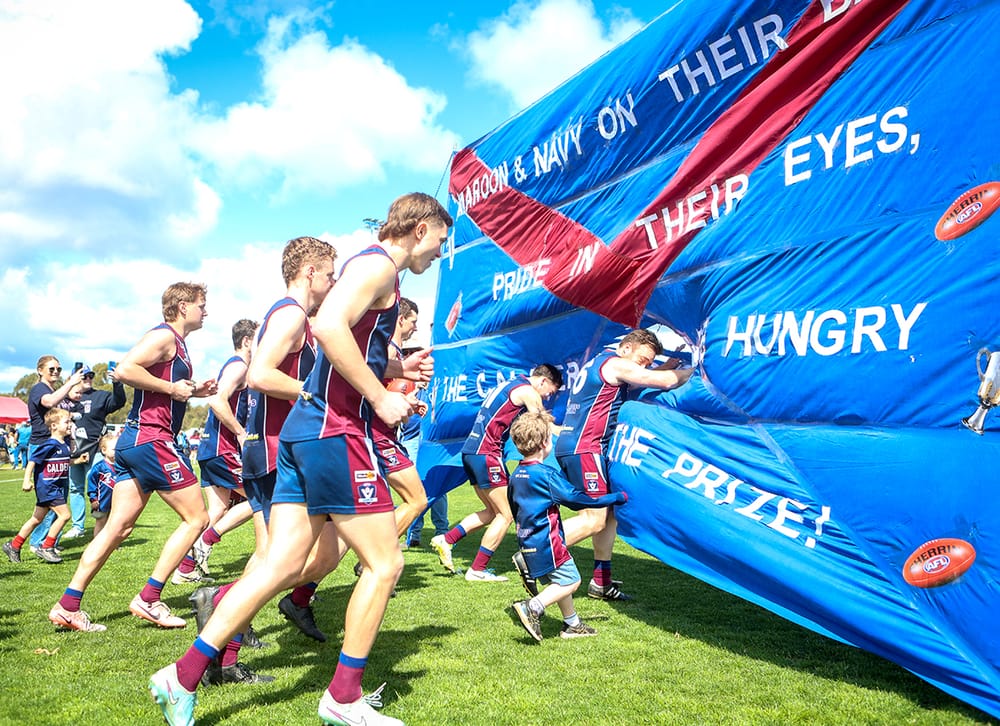 Lions Roar in Reserves Grand Final post image