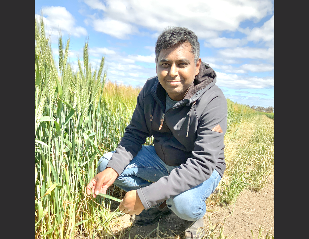 An Event for BCG Members: Disease Management on Trials Day Agenda post image