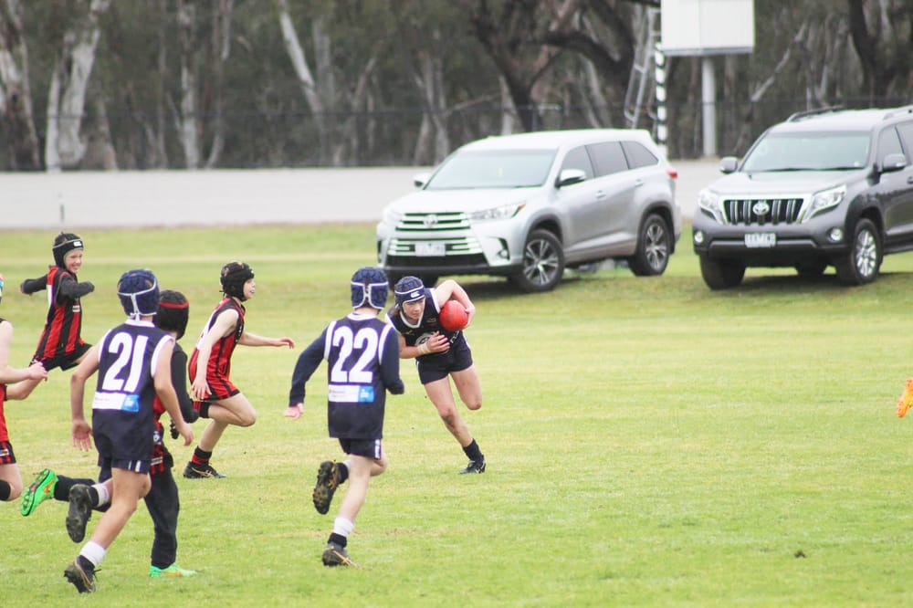 Redback Review post image