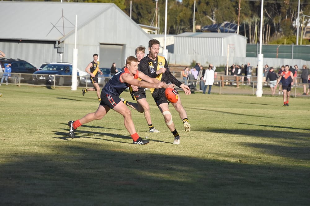 Three of the Best post image