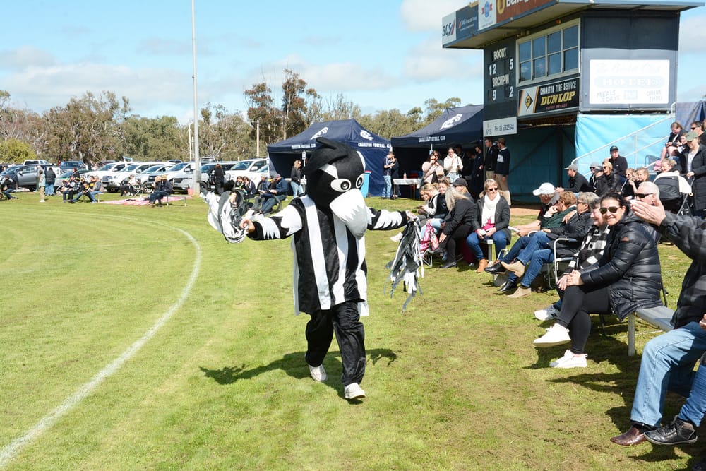 Magpies Add Colour to Local Finals post image