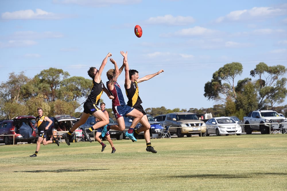 Reigning Premiers Still Set the Standard post image