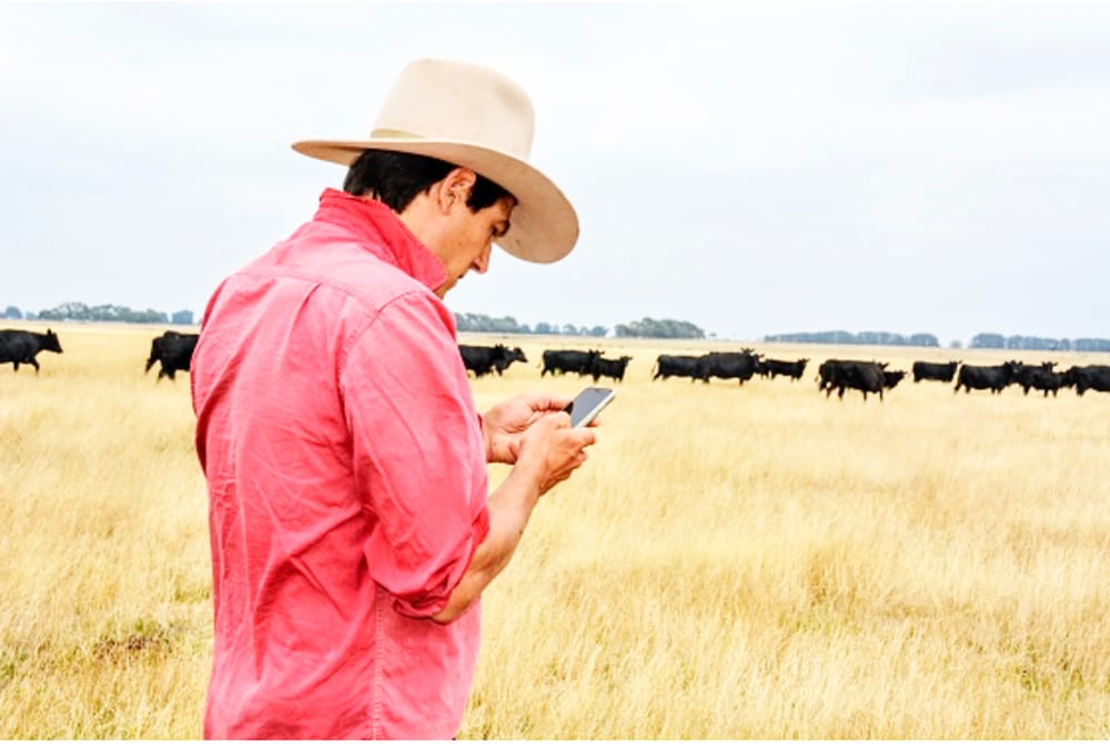 Express Finance Course Targets Young Farmers post image