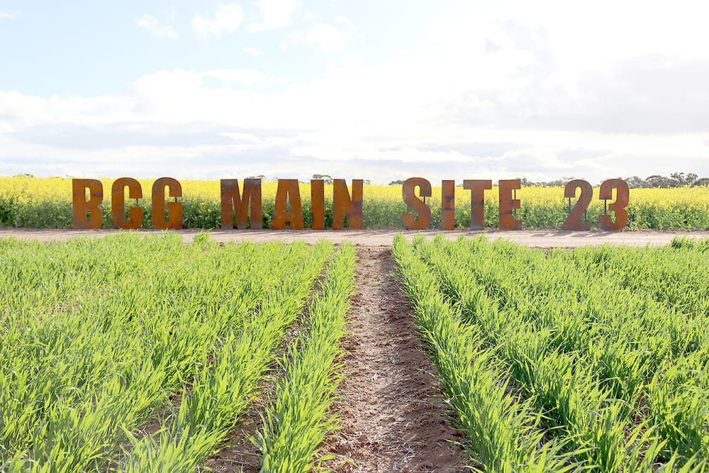 At BCG’s Main Field Day . . . Local Research for Local Farmers post image