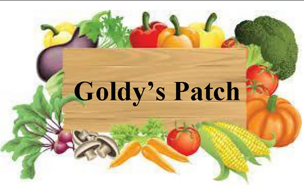 “Goldy’s Patch” Opens for Business post image