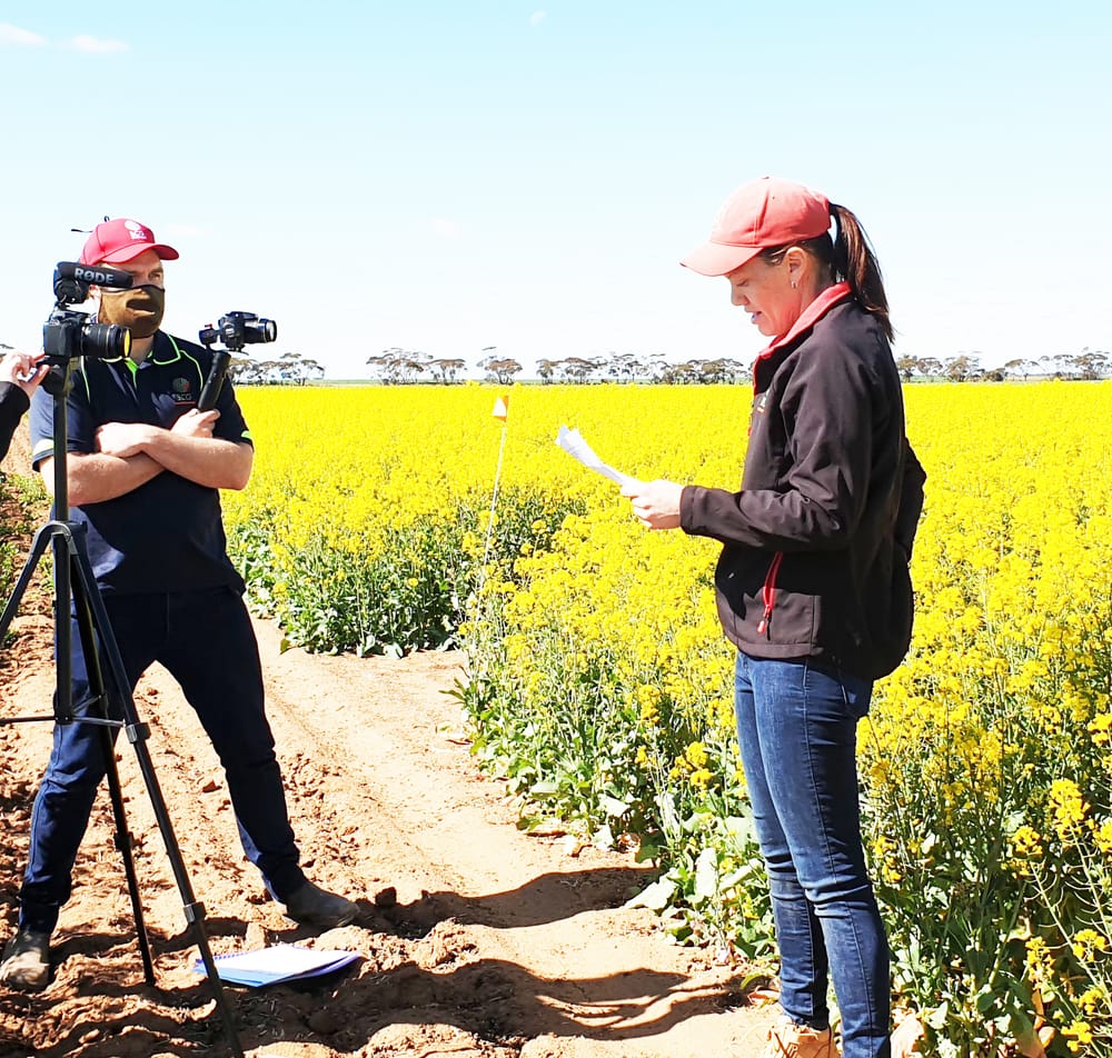 BCG Main Field Day Information Goes Digital post image