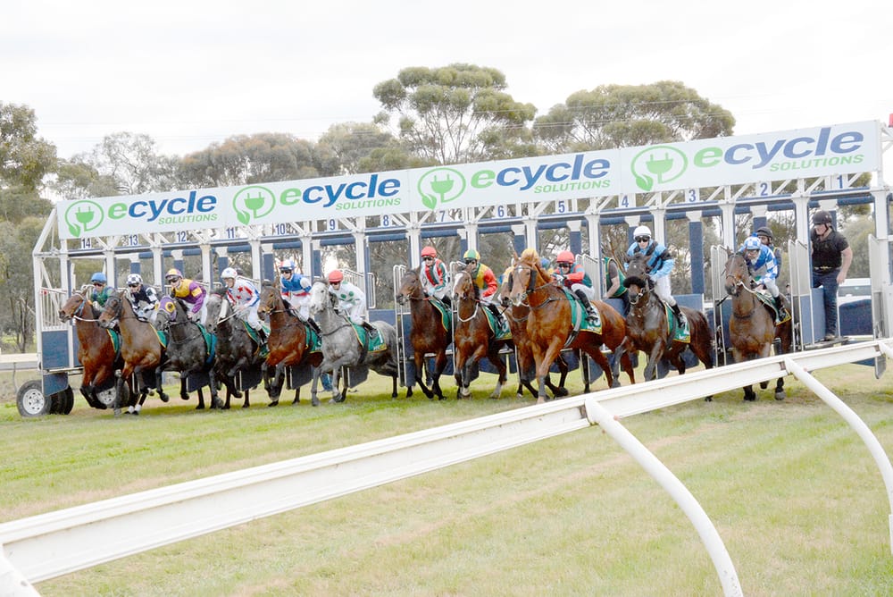 Last Race, Last Chance post image