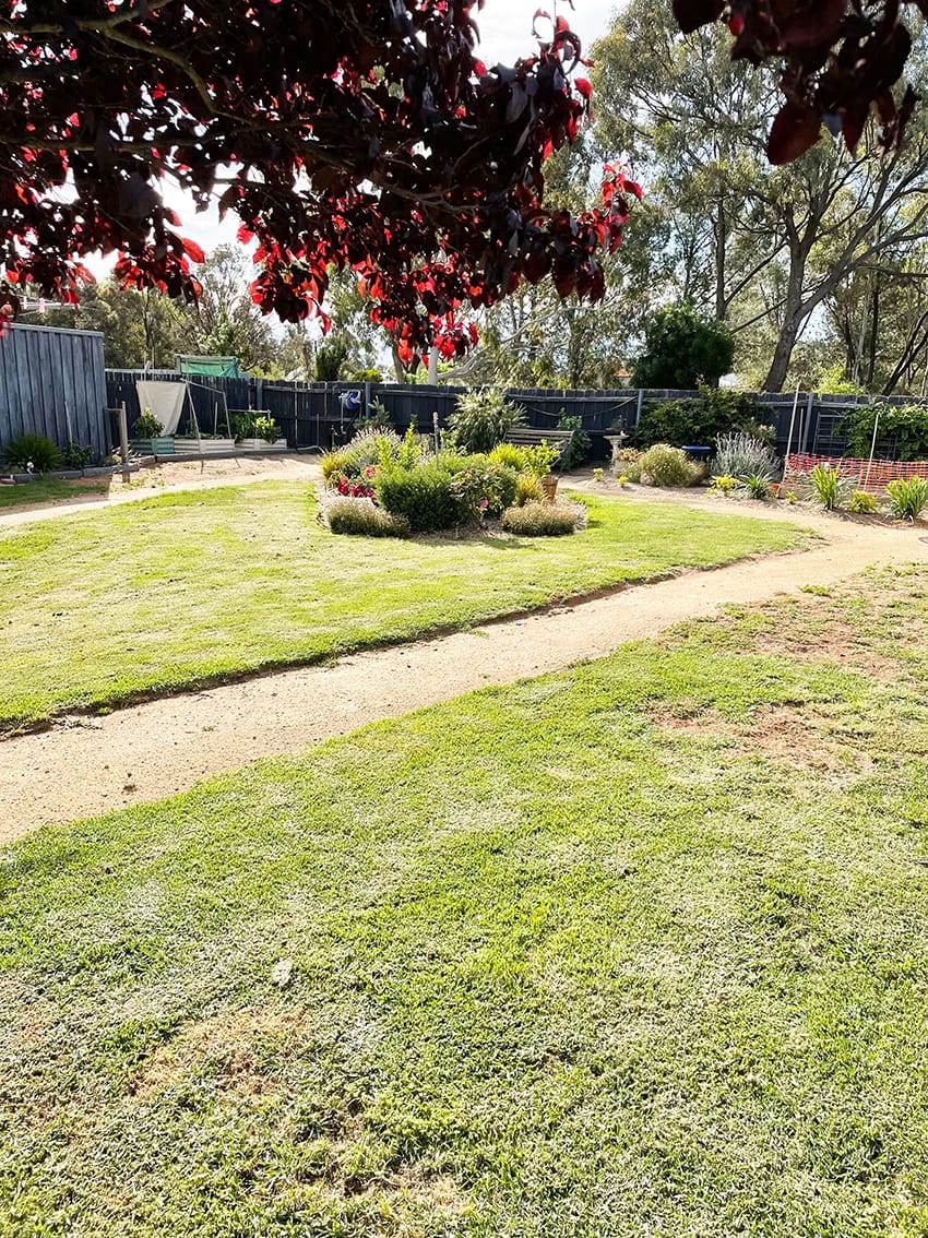 It’s Time toTackle the Jungle at Home post image