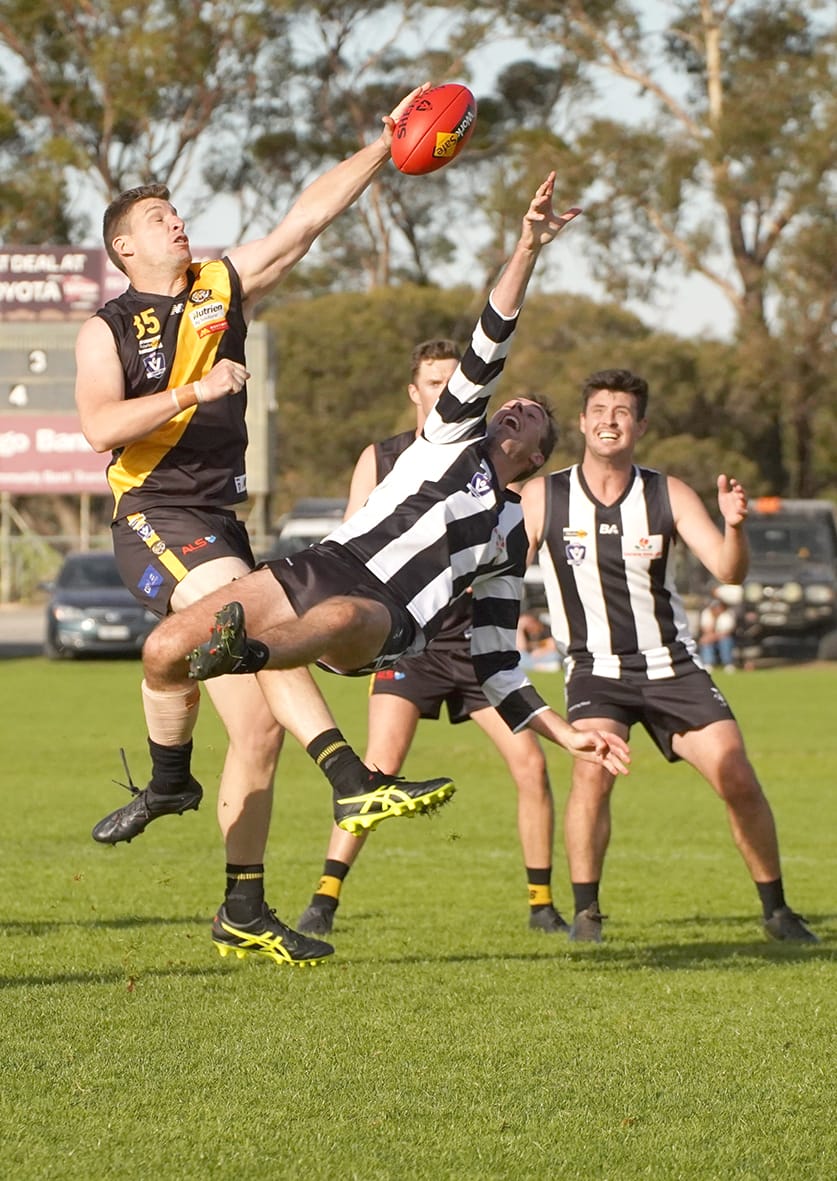 Tigers Begin Title Defence post image