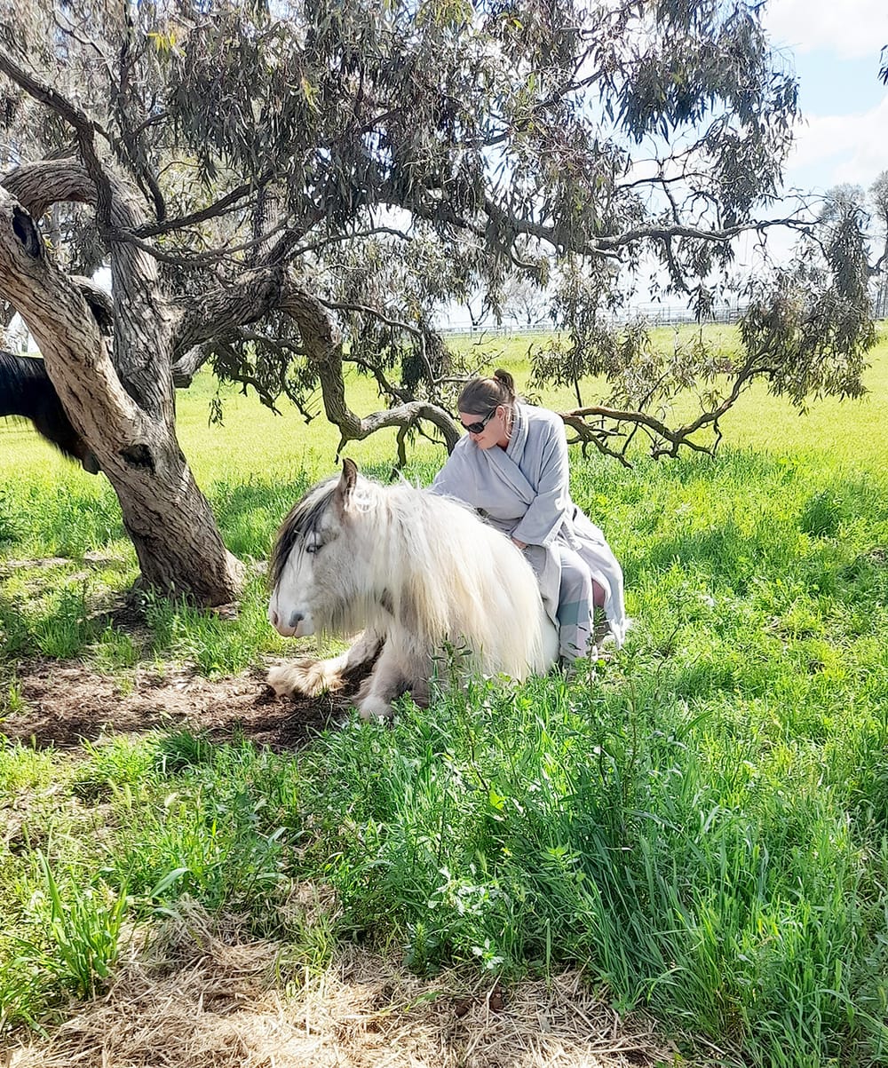 Oh My Cob! Look What I’ve Done! post image