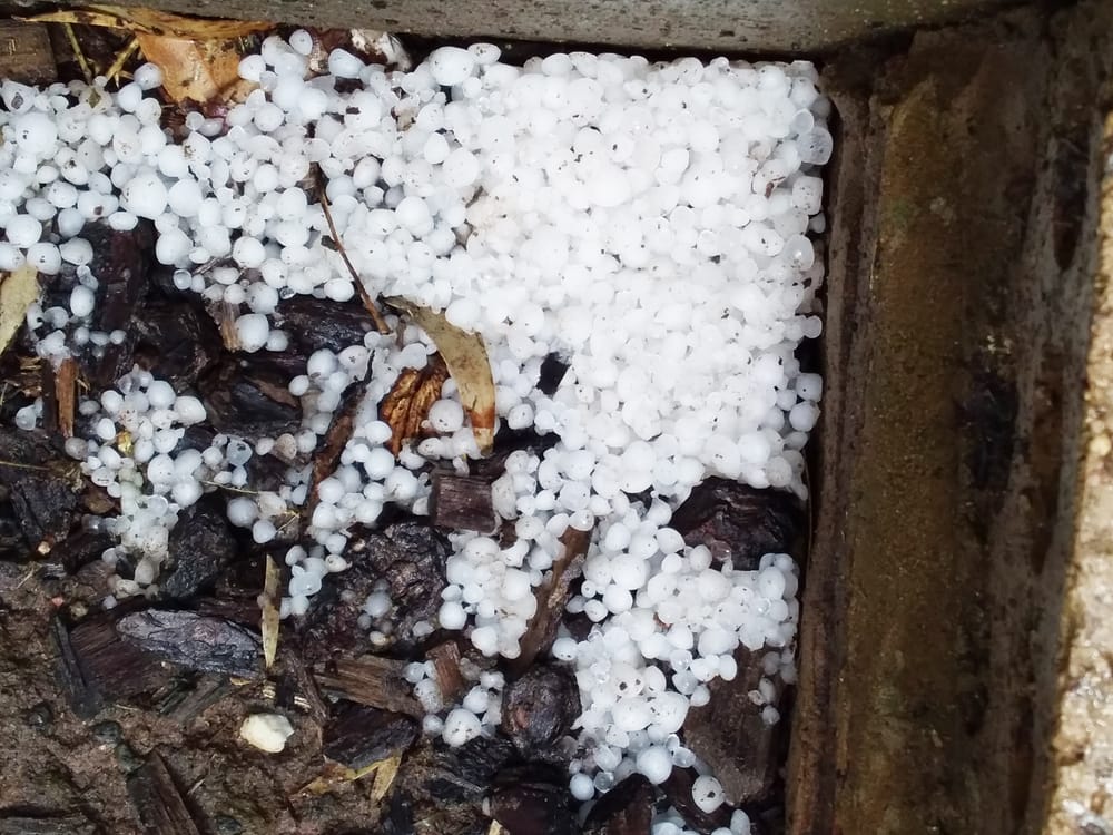 Rain, Hail, Shine post image