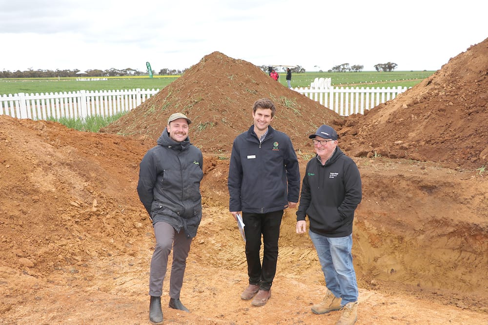 Friday, September 12, 2025 post image