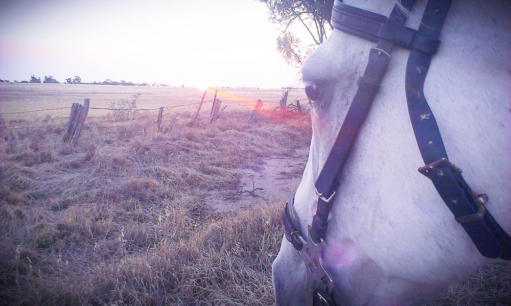 Pandemic Prompts City Exodus post image