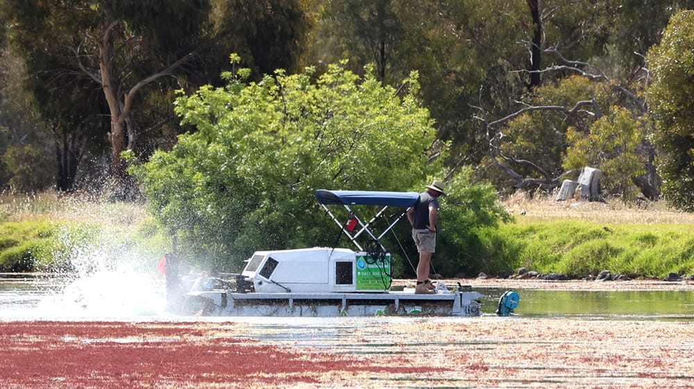 Tchum Lake Aquatic Club: New Leadership post image