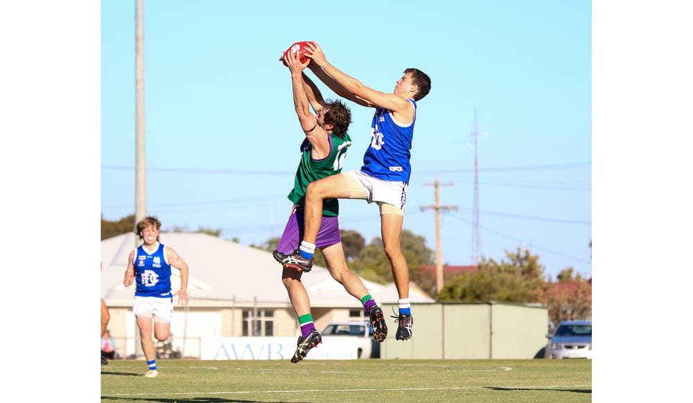 Bulls Blitz Royal Blues post image